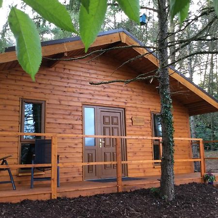 Butterfly Cabin Limerick Ngoại thất bức ảnh