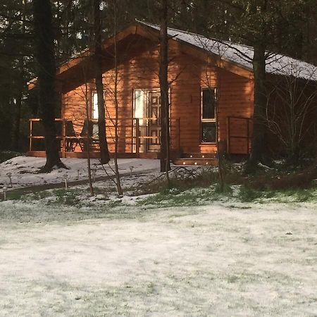 Butterfly Cabin Limerick Ngoại thất bức ảnh