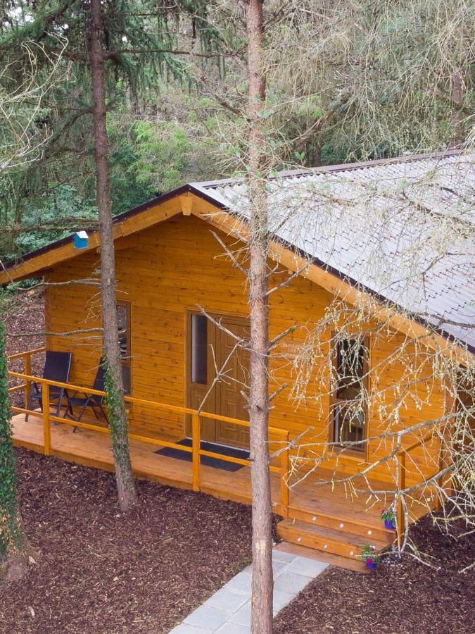 Butterfly Cabin Limerick Ngoại thất bức ảnh