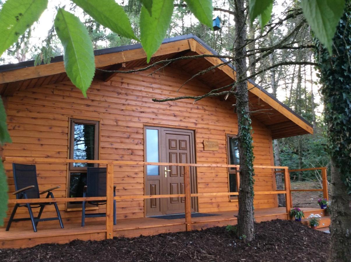 Butterfly Cabin Limerick Ngoại thất bức ảnh