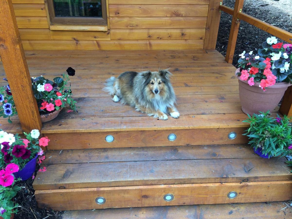 Butterfly Cabin Limerick Ngoại thất bức ảnh