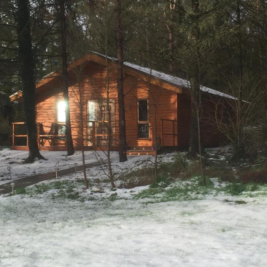 Butterfly Cabin Limerick Ngoại thất bức ảnh